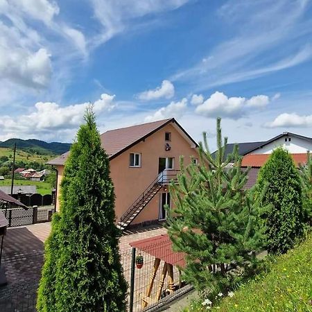 Pensiunea Anca Rona de Jos Exteriér fotografie