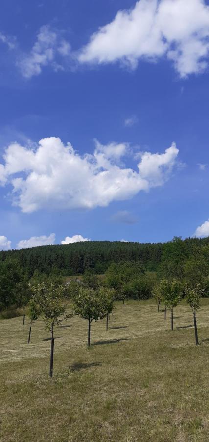 Pensiunea Anca Rona de Jos Exteriér fotografie