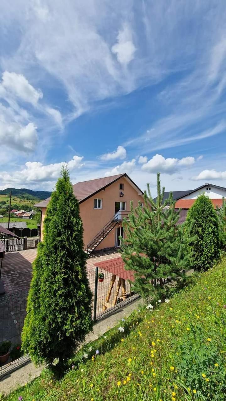 Pensiunea Anca Rona de Jos Exteriér fotografie